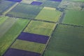 Aerial view of fields landscape Royalty Free Stock Photo