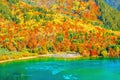 Aerial view of Five Flower Lake at autumn sunrise time. Royalty Free Stock Photo
