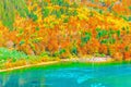 Aerial view of Five Flower Lake at autumn sunrise time. Royalty Free Stock Photo