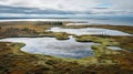 Aerial View Of Fjord And Wetlands: Native American Art Inspired Landscape