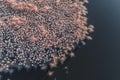 Aerial view of flock of pink flamingos flying on water surface on lake