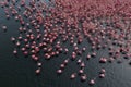 Aerial view of flock of pink flamingos flying on water surface on lake