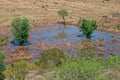 AERIAL VIEW OF FLOODED AREA IN NATURE Royalty Free Stock Photo