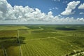 Aerial view of Florida farmlands with rows of orange grove trees growing on a sunny day Royalty Free Stock Photo