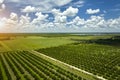 Aerial view of Florida farmlands with rows of orange grove trees growing on a sunny day Royalty Free Stock Photo