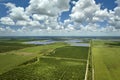 Aerial view of Florida farmlands with rows of orange grove trees growing on a sunny day Royalty Free Stock Photo