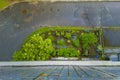 Aerial view of the flower bed near the building Royalty Free Stock Photo