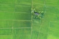 Aerial view from flying drone. Beautiful green area of young rice field or meadow in rainy season