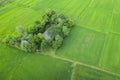 Aerial view from flying drone. Beautiful green area of young rice field or meadow in rainy season