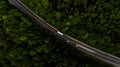 Aerial view flying over road, that lead through the green forest Royalty Free Stock Photo