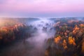 Aerial view of foggy forest at colorful sunrise in autumn