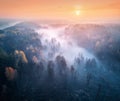 Aerial view of foggy forest and meadows at sunrise in autumn Royalty Free Stock Photo