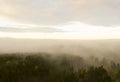 Aerial view foggy forest. Top drone view of fog forest in the morning forest. Wild mist nature background texture. Scenic misty