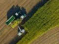 Aerial view of forage harvester on maize cutting for silage in field. Harvesting biomass crop. Tractor work on corn harvest season Royalty Free Stock Photo