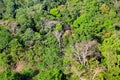 Aerial view of the forest Royalty Free Stock Photo