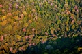 Aerial view of the forest Royalty Free Stock Photo