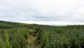 Aerial view of the forest by Burt in County Donegal - Ireland