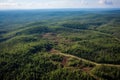 aerial view of a forest with clear-cut and reforested sections Royalty Free Stock Photo