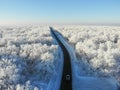 Aerial view of forest covered with snow ,bird`s eye view Royalty Free Stock Photo