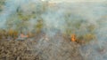 Aerial view Forest fire. Busuanga, Palawan, Philippines. Royalty Free Stock Photo