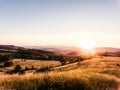 Aerial view of forest and green grassland at sunset. Royalty Free Stock Photo