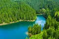 Aerial view of a forest lake. Aerial view of blue lake and green forests on a sunny summer day. Drone photography. Forest and lake Royalty Free Stock Photo