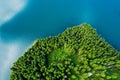 Aerial view of a forest lake. Aerial view of blue lake and green forests on a sunny summer day. Drone photography. Forest and lake Royalty Free Stock Photo