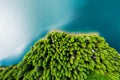 Aerial view of a forest lake. Aerial view of blue lake and green forests on a sunny summer day. Drone photography. Forest and lake Royalty Free Stock Photo