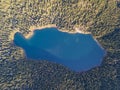 Aerial view of a forest lake. Aerial view of blue lake and green forests on a sunny summer day. Drone photography. Forest and lake Royalty Free Stock Photo