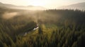 Aerial view of a forest lake in the middle of a foggy forest Royalty Free Stock Photo