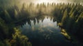 Aerial view of a forest lake in the middle of a foggy morning Royalty Free Stock Photo