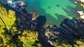 Aerial view of forest meeting the sea