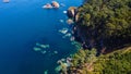 Aerial view of forest meeting the sea