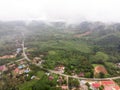 Aerial view in the forest