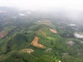 Aerial view in the forest