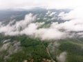 Aerial view in the forest