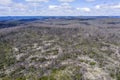 Aerial View Of Forest Regeneration After Bushfire In Regional Australia