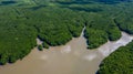 Aerial view of forest and river, mangrove forest and river