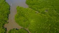 Aerial view of forest and river, mangrove forest and river