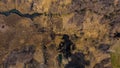 Aerial view of forest river running through swampland