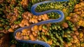 Aerial view of forest road in beautiful autumn .at sunset. Serpentine asphalt road details with colourful landscape with empty roa