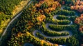Aerial view of forest road in beautiful autumn .at sunset. Mountain roads details with colourful landscape with heavy traffic and