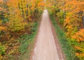 Forest road surrounded with fall foliage in Pictured rocks area in Michigan upper peninsula