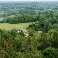 Aerial view of the forest - spruce trees from the top.