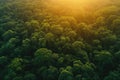 Aerial View of a Forest at Sunset With Majestic Sunrays Peeking Through the Trees, A sunset view of a dense forest from above, AI Royalty Free Stock Photo