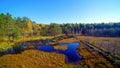 Aerial view on forest and swamp in Celestynow in Poland