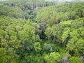 Aerial view forest tree environment forest nature background, Texture of green tree top view forest from above landscape bird eye Royalty Free Stock Photo