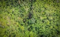 Aerial view forest tree environment nature background, waterfall on green forest top view  water stream from the hill from above, Royalty Free Stock Photo