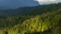 Aerial view forest tree on mountain hill, Rainforest ecosystem and healthy environment concept and background, Texture of green Royalty Free Stock Photo