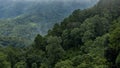 Aerial view forest tree on mountain hill, Rainforest ecosystem and healthy environment concept and background, Texture of green Royalty Free Stock Photo